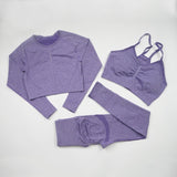 Women's Seamless Yoga / Fitness Long Sleeve Crop Top, High Waist Leggings+ Bra