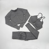 Women's Seamless Yoga / Fitness Long Sleeve Crop Top, High Waist Leggings+ Bra