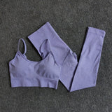 Seamless Women's Sportswear - Fitness Bra and High Waist Leggings