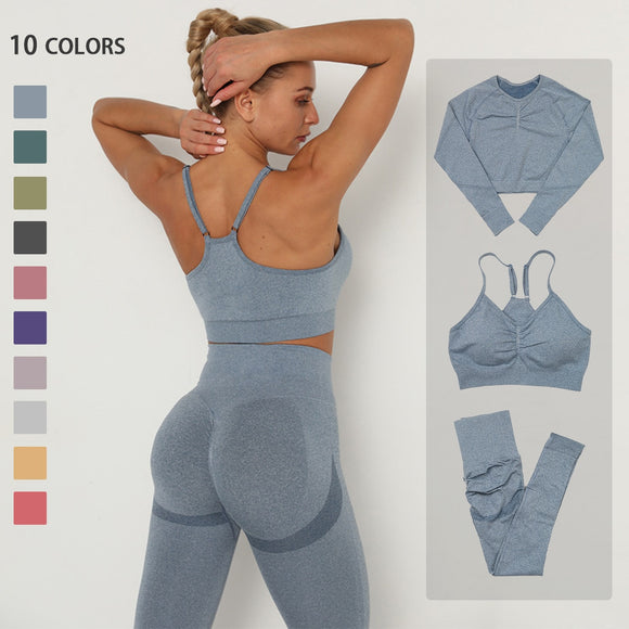 Women's Seamless Yoga / Fitness Long Sleeve Crop Top, High Waist Leggings+ Bra