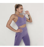 Women's Seamless Yoga / Fitness Long Sleeve Crop Top, High Waist Leggings+ Bra