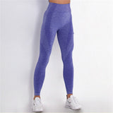 Women's Spandex Seamless High Waist Fitness Leggings